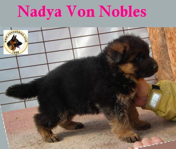 Nadya Von Nobles