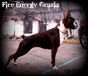 Fire Energy Grazia