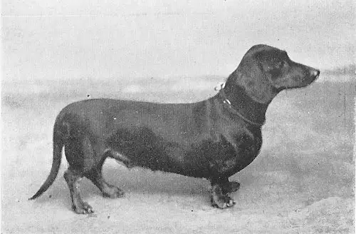 Gretl von der Kaiserburg