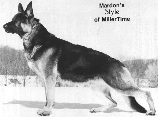 CH (AKC) Mardon's Style Of Millertime