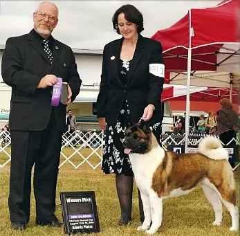 AKC CH C'Side's Grace Under Fire