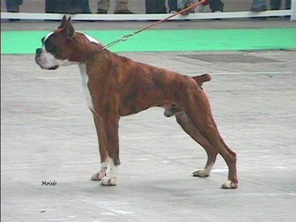 Askan del Reino Perdido