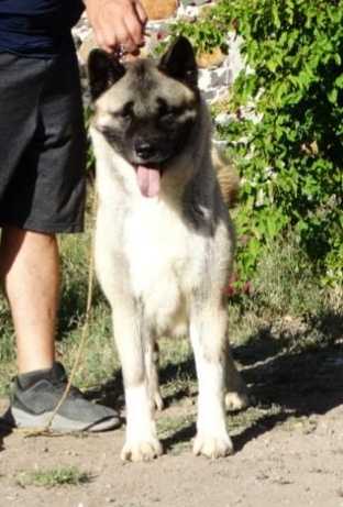 Life Goes On AKA Cici