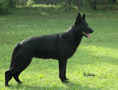 V a-Vaxa s Krasnyh Prudov