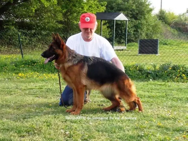 JACQUOTTE du Domaine du Val d'Aulnoy