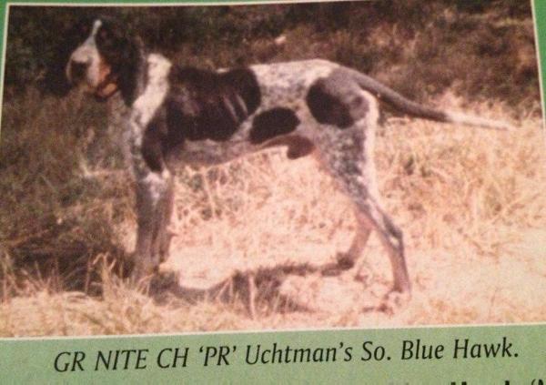 GRNITECH 'PR' Uchtman's So Blue Hawk