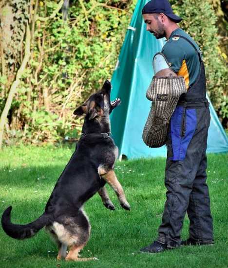 Anais Domaine Main D'or