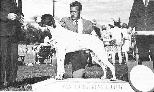 Counterpoint's Lord Ashley