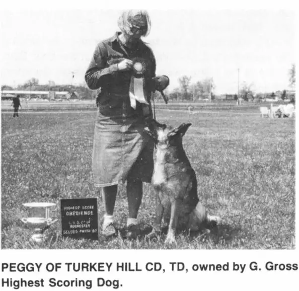 Peggy of Turkey Hill
