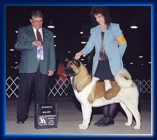 AKC CH Ryerson Born In The USA