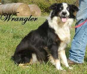 JT Git R Done Wrangler