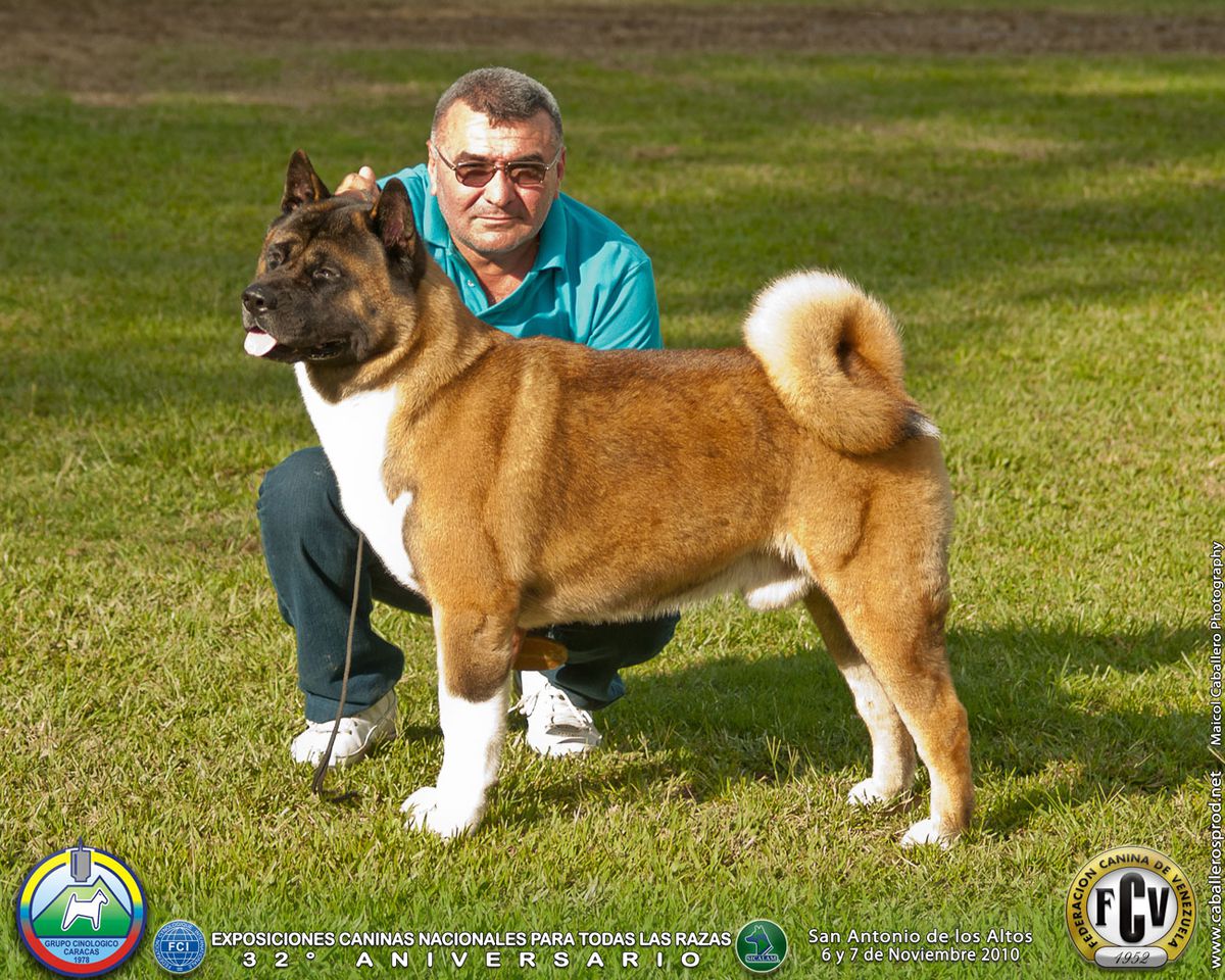 VEN CH Crown Royals Premium Selection