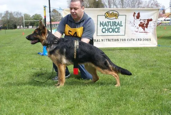 Keybeau Green I'd Monsta