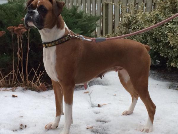 Biancales Wet Baller Jordin