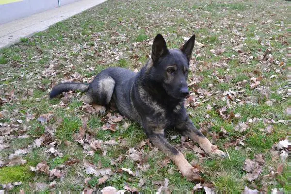 Hagar von der Salztal-Hohe