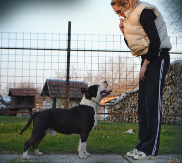 From Russian whit love paloma bel lord