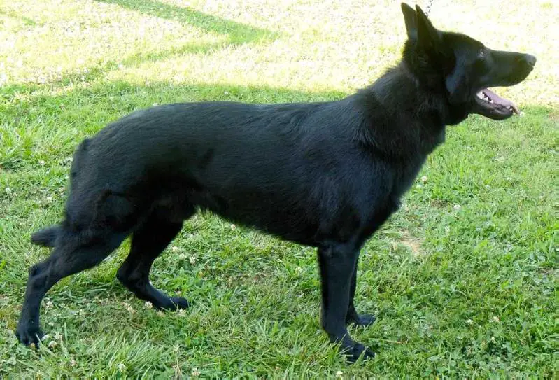Jerry Lee Reid Von Hall