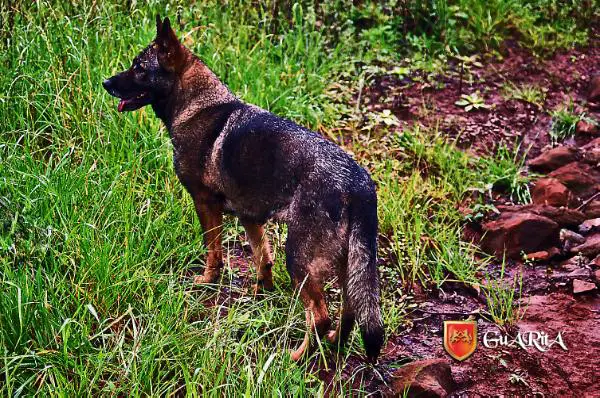 Jule von der Notburgahöhle