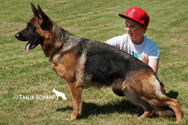 V (LGSZ) Rieke vom Elzmündungsraum