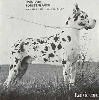 CH Ivan vom Fürstenlager