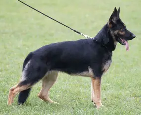 Wolke vom Ludwigseck