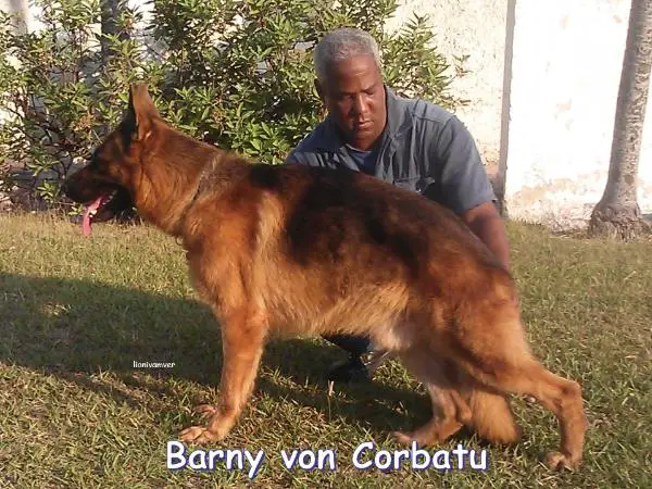 Barny Von Corbatú