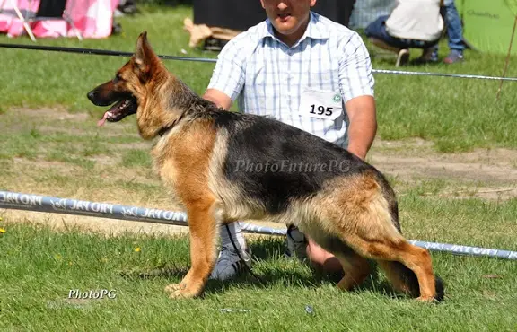 JAGA z Ujazdowskiego Jaru