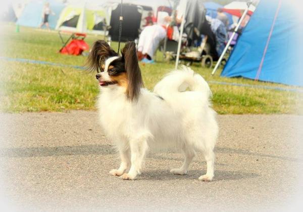 SE UCH, DK UCH, Seize The Day Quetesh