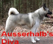 Ausserhalb's Diva