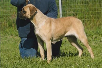 Redhot (LIR02/140933)