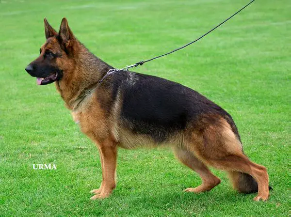 SG16 Holina du Val d'Anzin