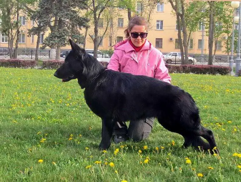 SG Sophia Oger Schloss