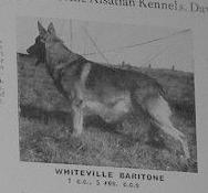 Whiteville Baritone