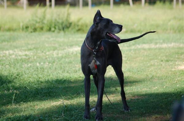 Belle of Brazos River