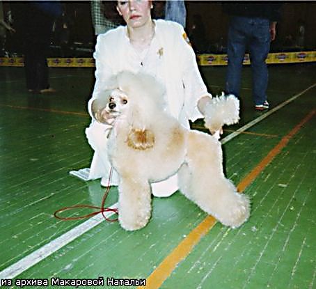 Offenborn's Golden Candy