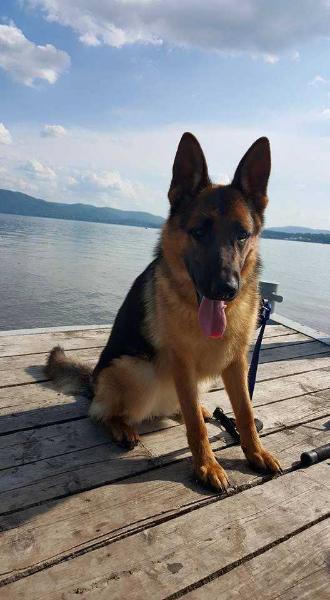 Betty von Highlander