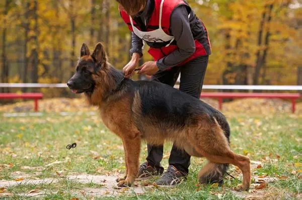 Team Bulle Hof Qwando