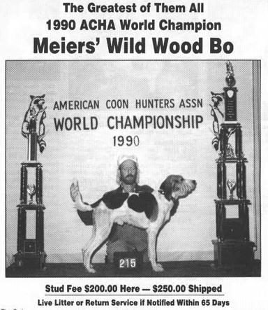 1990 ACHA WORLD CH Meier's Wild Wood Bo