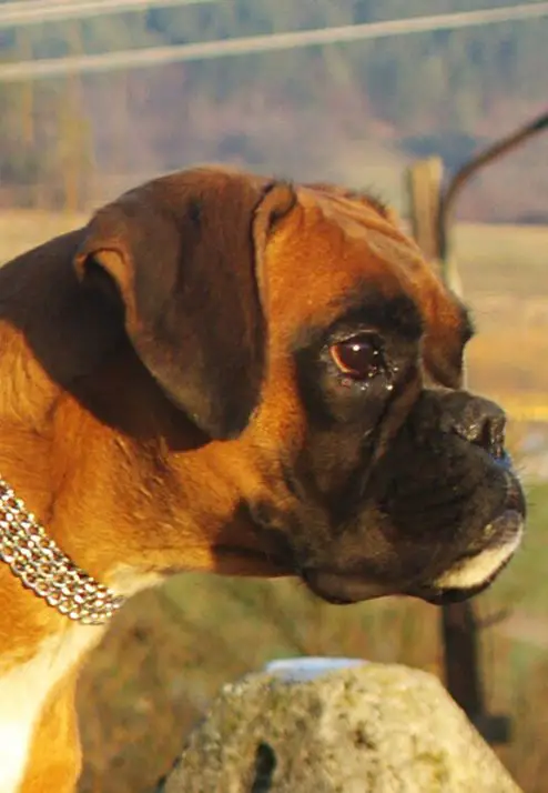 K'Carmela Floyd Fender Edda