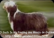 O'such is my feeling des monts de gatine