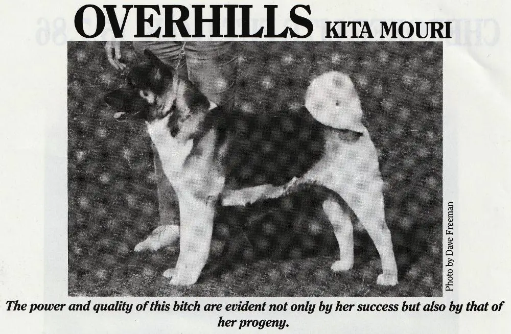 Overhill's Kita Mouri