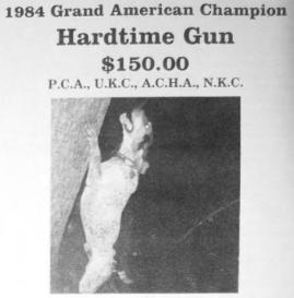 1984 GRAND CH Hardtime Gun