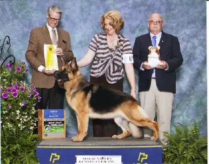 CH (US) Imp-Cen's National Treasure