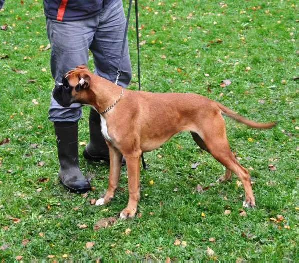 ANKA Z BISKUPOVA DVORA