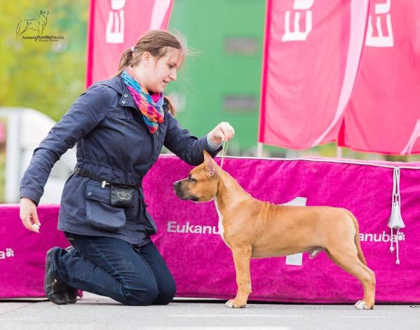 TERR'AM STAFF Danish Martini