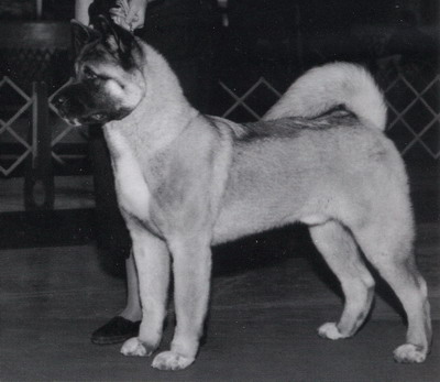 Double K's Take No Bull