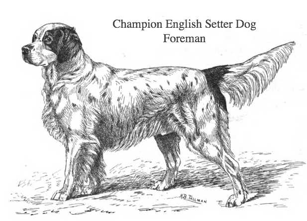CH Foreman (c.1880) (1597 v. II)