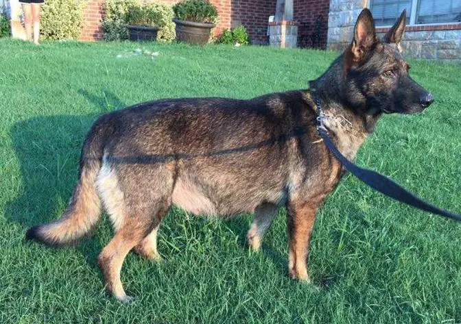 Nadia Vom Kolossal Haus