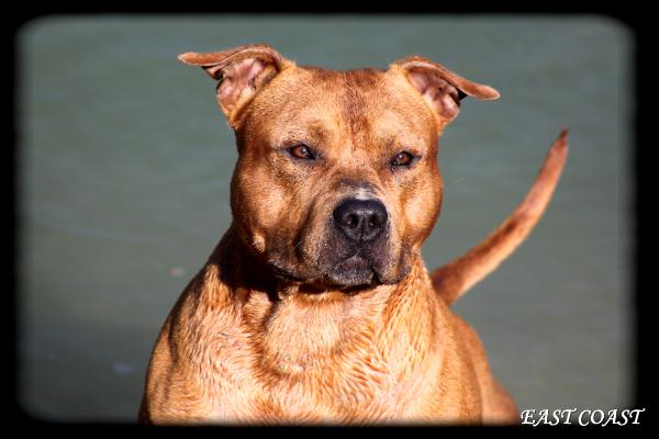 East coast de la garde divine