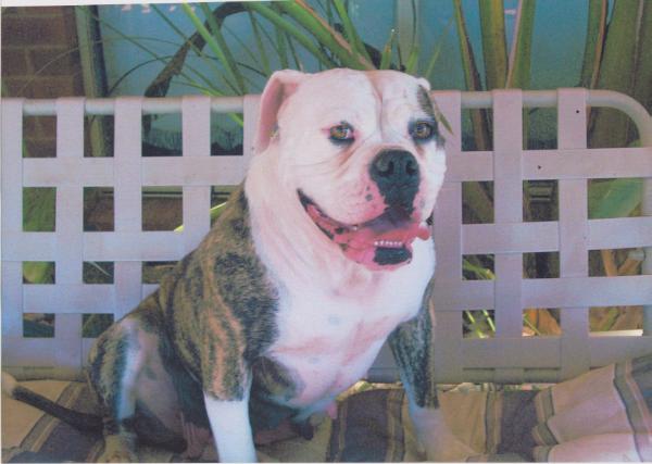 VBK'S MILLY